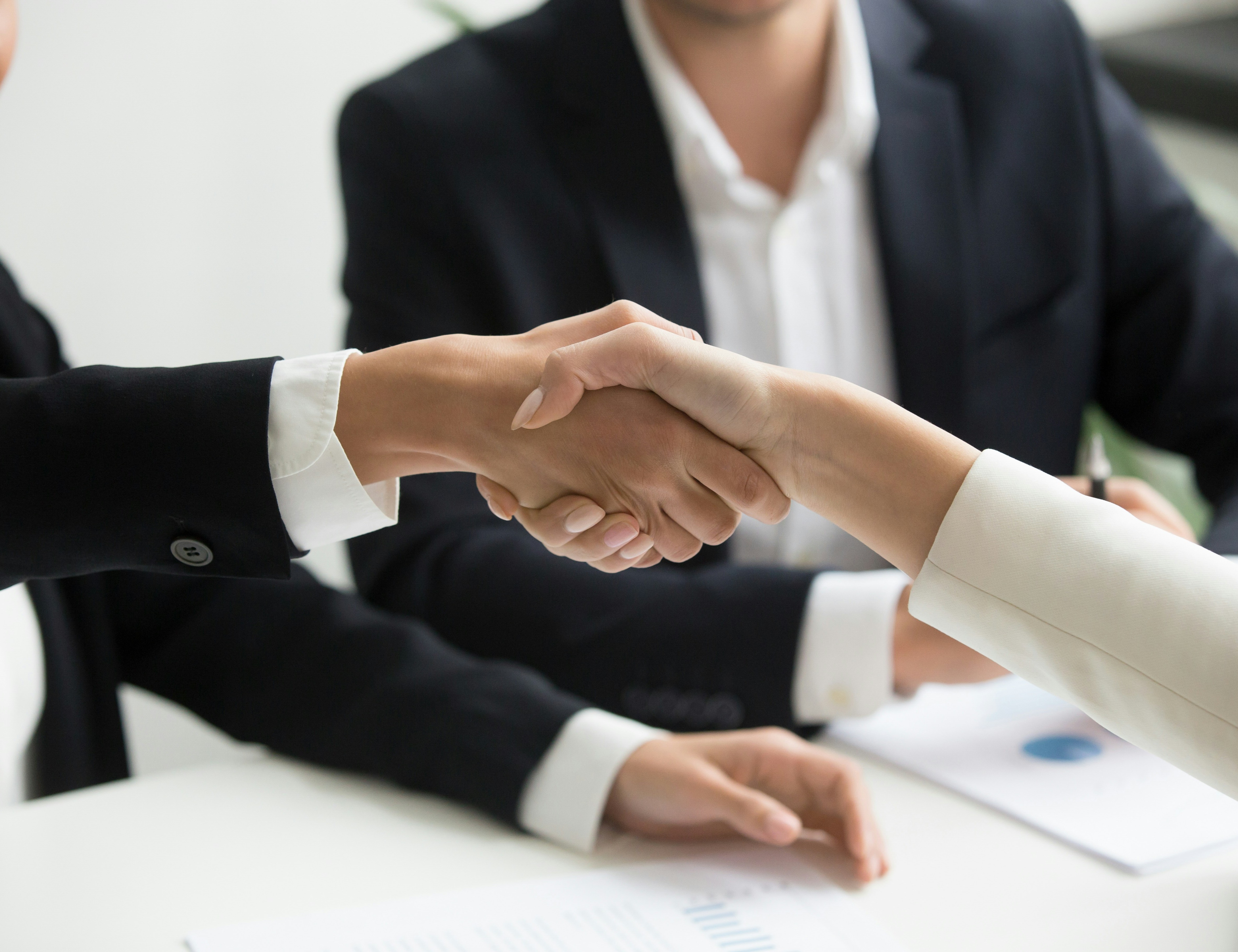 Professional handshake